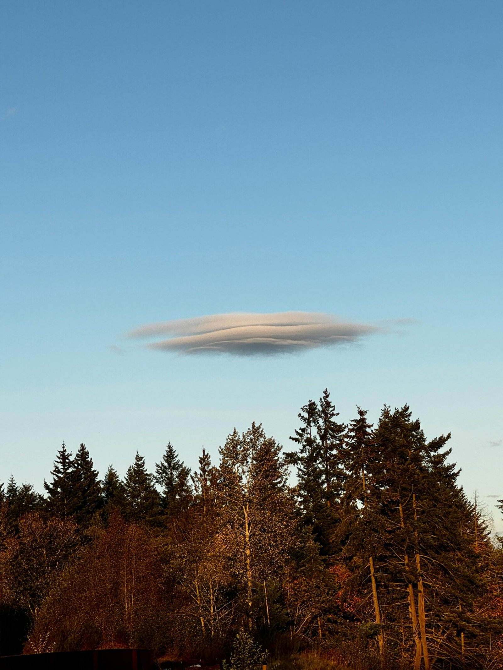 A unique lenticular cloud hovers over a forest skyline in Tacoma, Washington.